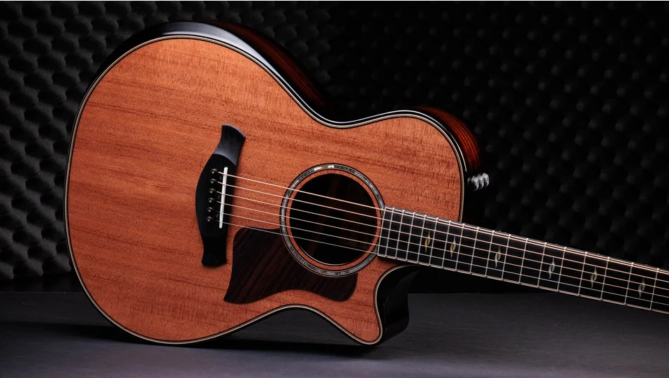 50th Anniversary Builder's Edition 812ce LTD Indian Rosewood